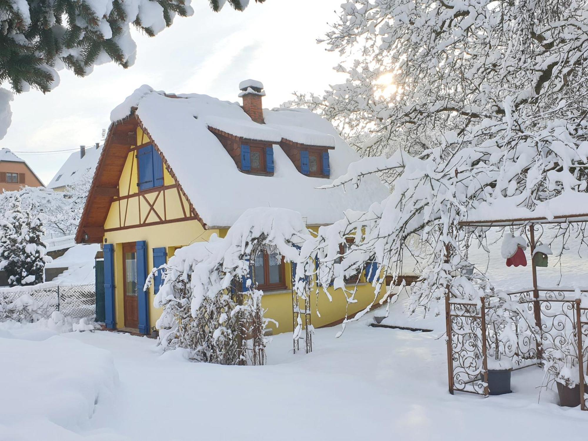 Gite en Alsace Mutzig Extérieur photo