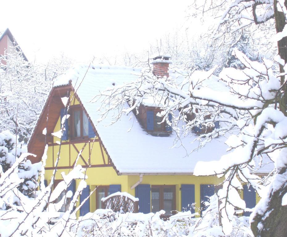 Gite en Alsace Mutzig Extérieur photo