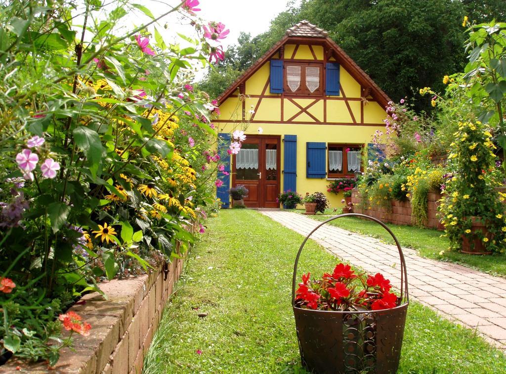 Gite en Alsace Mutzig Extérieur photo